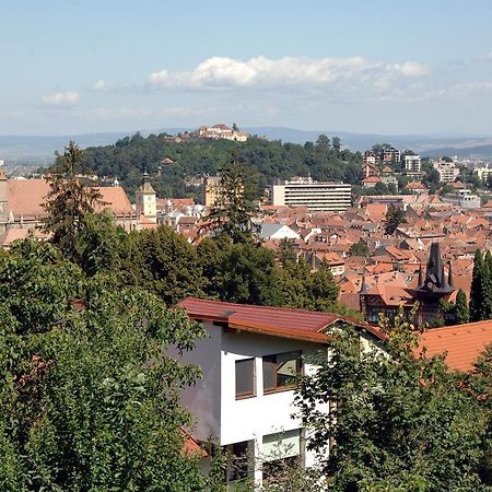 Brasov Valley Leilighet Eksteriør bilde
