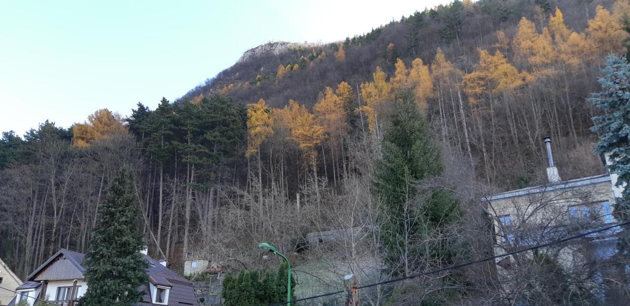 Brasov Valley Leilighet Eksteriør bilde