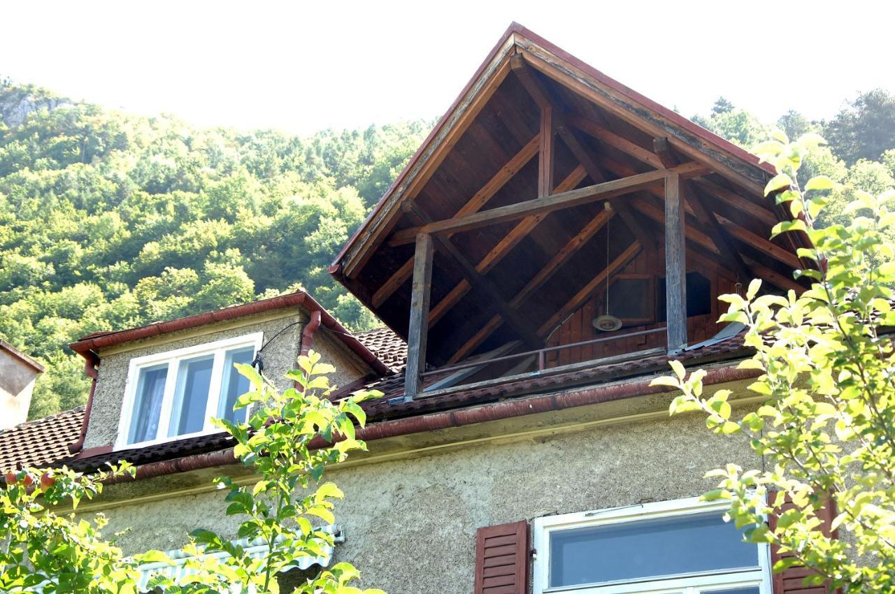 Brasov Valley Leilighet Eksteriør bilde